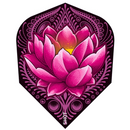 Zen Juji Flights - Shape