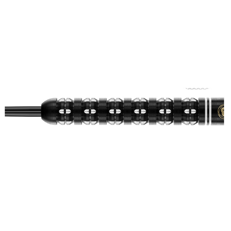 Winmau Danny Noppert Freeze Edition Darts