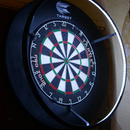 Corona Darts Lighting System